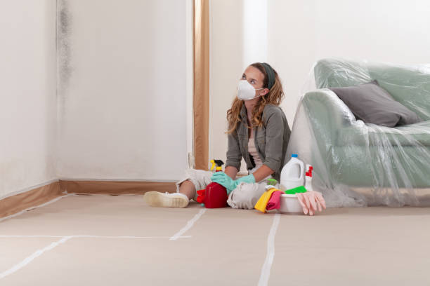 Reliable Basement Mold Removal contractor in Cliffside Park, NJ by WQB Mold Removal